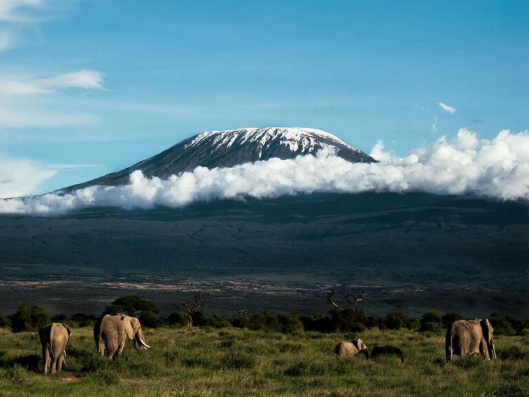 Kilimanjaro Tour Operator