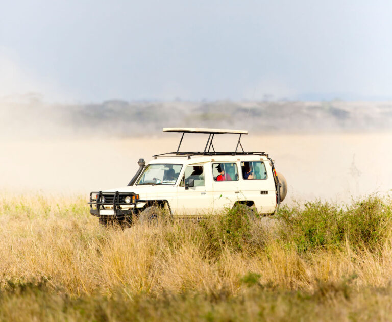 Tanzania Safari Company