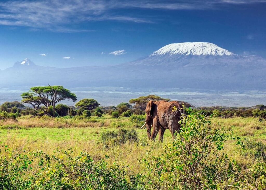 Kilimanjaro National Park