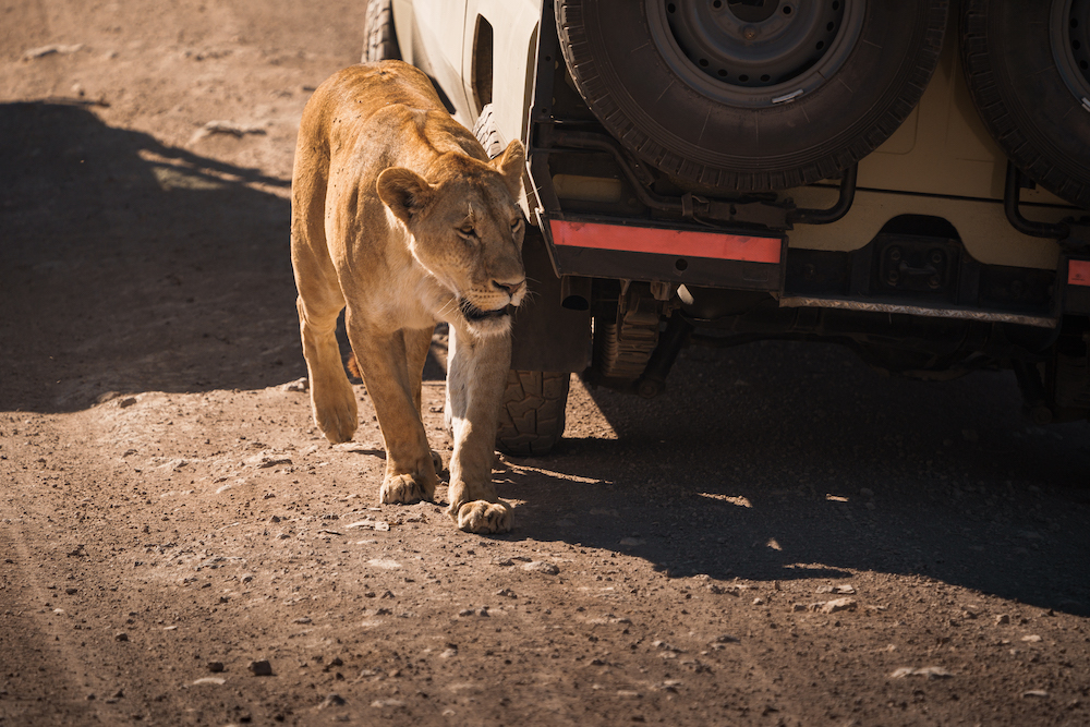 Serengeti National Park