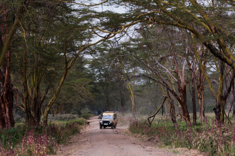 Tanzania Travel Agency