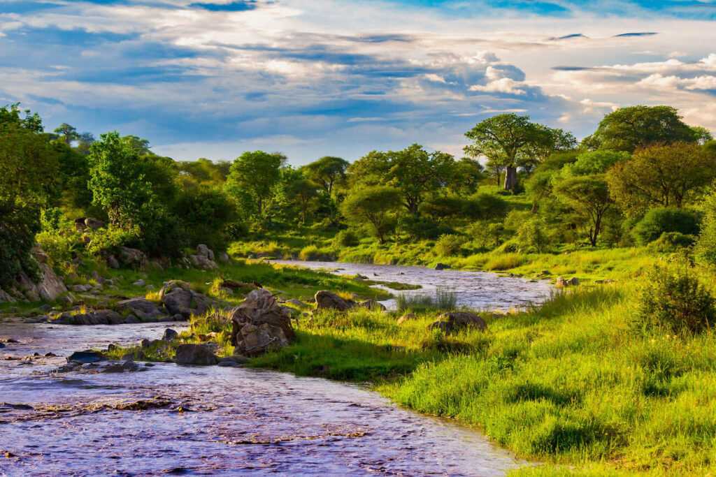 Tarangire National Park