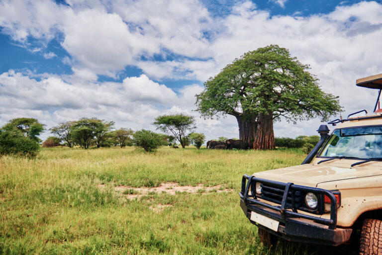 Trusted Tanzania Tour Operator