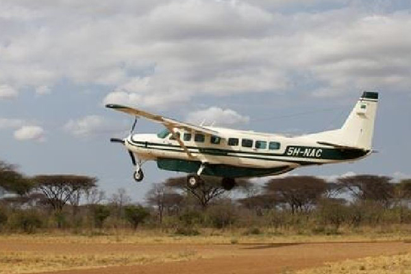 2 Days Fly-in Safari From Zanzibar to Mikumi National Park Safari