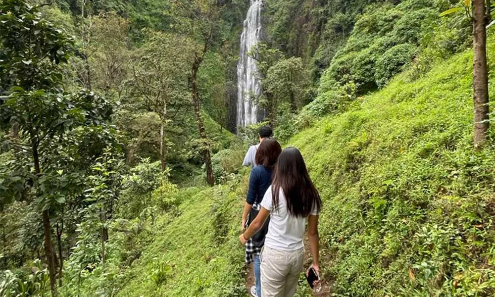 5 Days Tanzania Safaris & Waterfalls and Coffee Tour