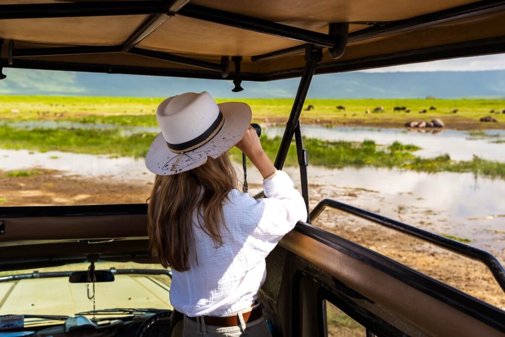 Tanzania Safari Tours