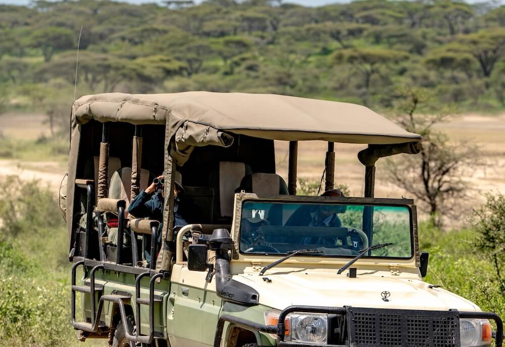 Luxury Safari in Tanzania