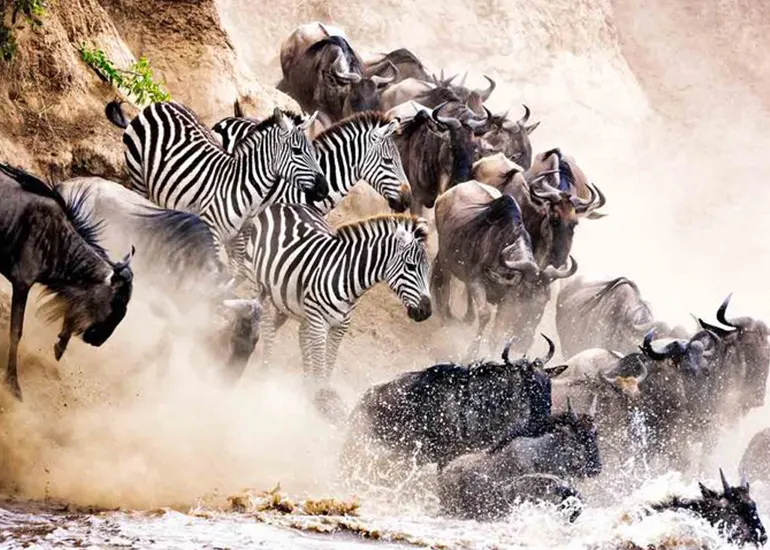 Northern Serengeti National Park