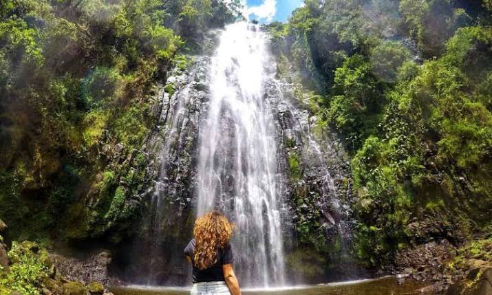 6 Days Tanzania Safari Culture Materuni Waterfalls Coffee Tour